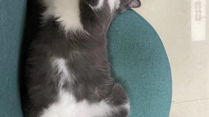 炸鱼