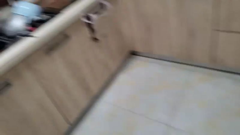 【2021-12-31 16点场】魅力生活i：大家相聚过元旦