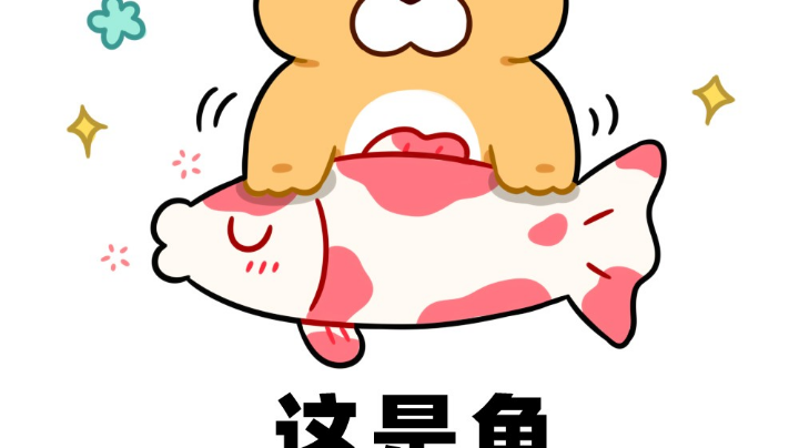 哈哈哈哈哈