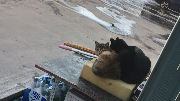晚安