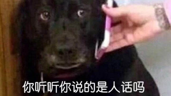 桂纶镁