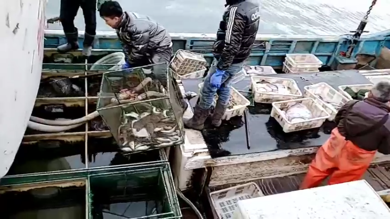 【2022-01-01 16点场】威海大叔：风里雨里，海鲜走起～