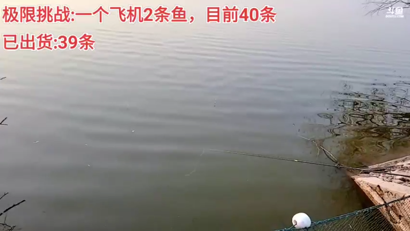 【2022-01-01 17点场】洪湖小肖：2022新年快乐 447507