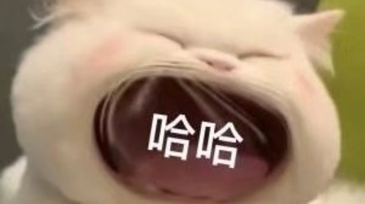 12.31录像