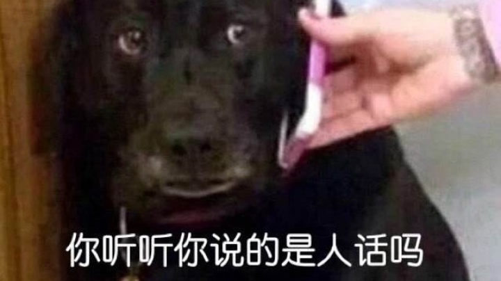 哈雷娜