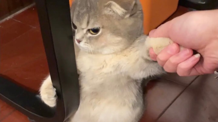来啰