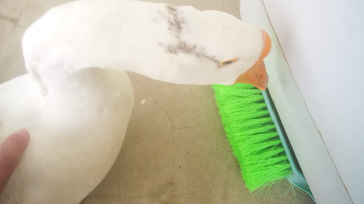 上上签，下下签，天南地北围你转