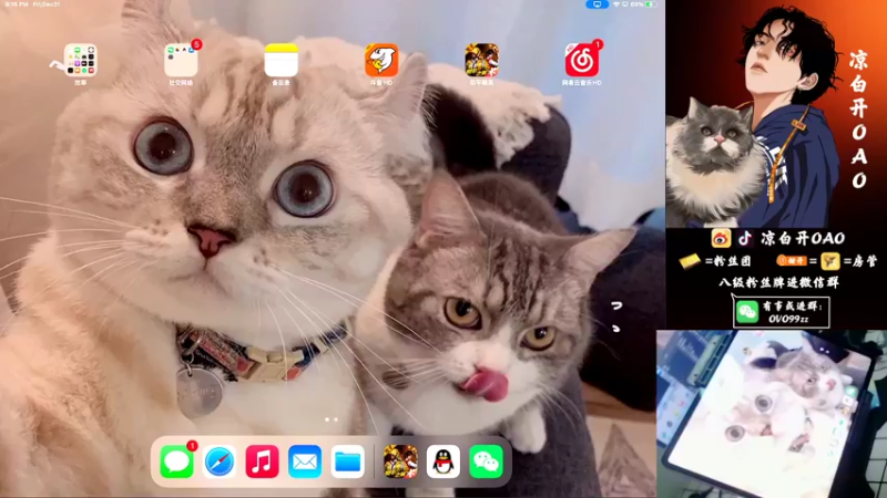 【2021-12-31 21点场】凉白开OAO：【一起跨年】大吉大利