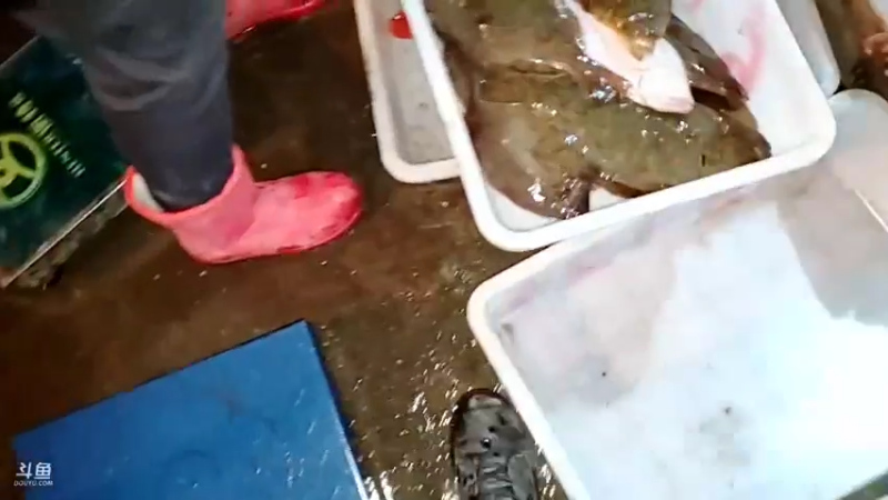 【2022-01-01 18点场】威海大叔：风里雨里，海鲜走起～