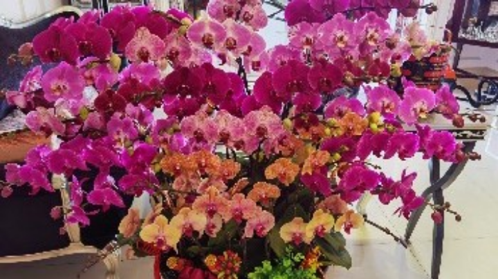 常规、天梯、瓜岛、无尽，一气呵成