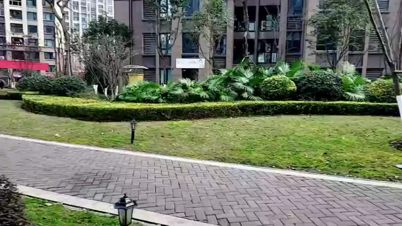 【2022-01-01 10点场】逐梦兄弟：收拾东西去杭州