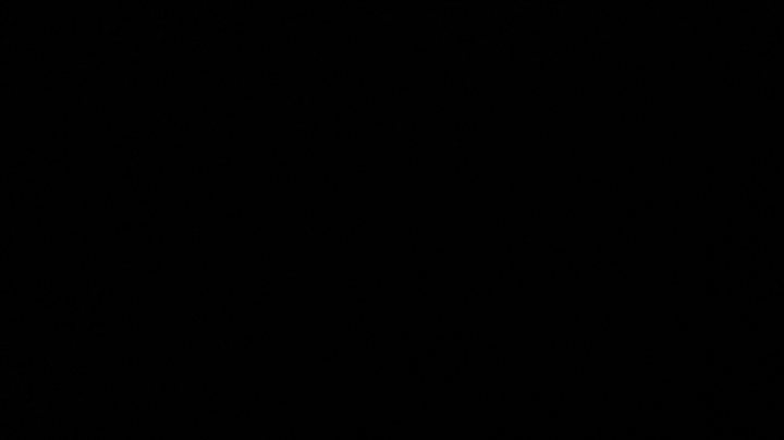 保存