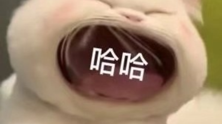 12.31录像