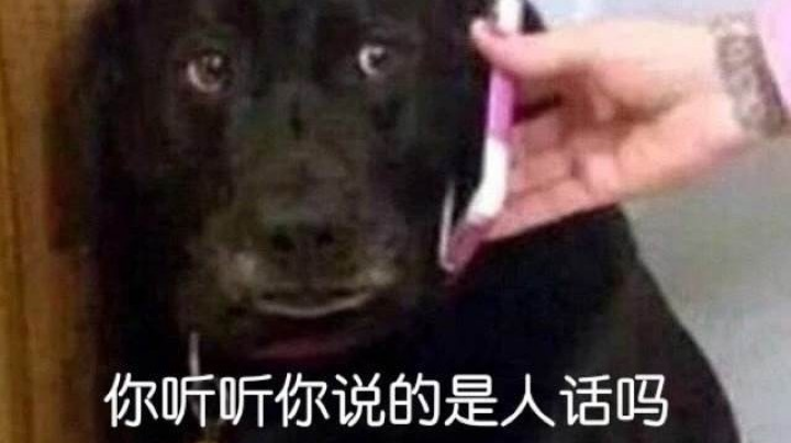 哈雷娜