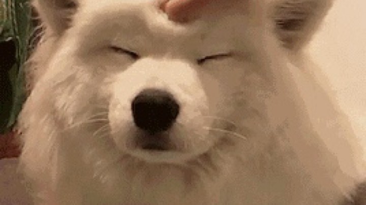有笨蛋玩李白