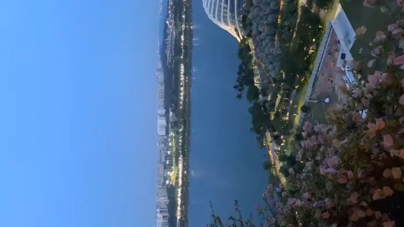 美