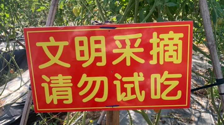 新年快乐
