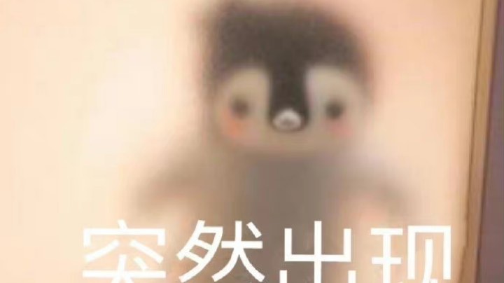 元旦快乐！