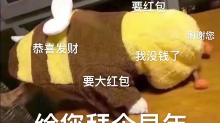 元旦快乐