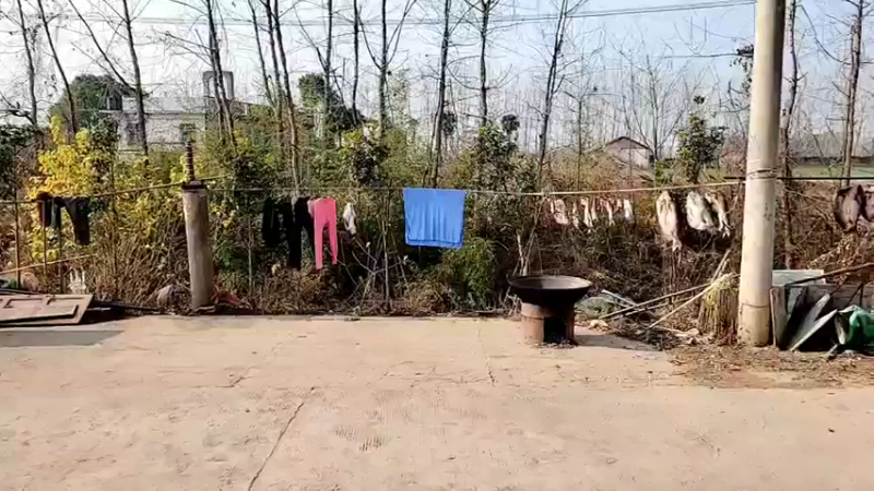 【2022-01-01 11点场】洪湖小肖：2022新年快乐 447507