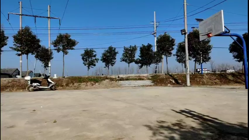 篮球