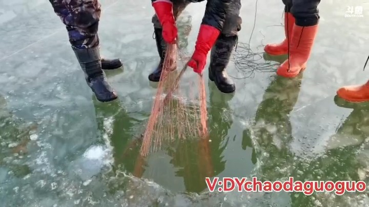 起网了，这网有没有鱼呢，当然是有的啊