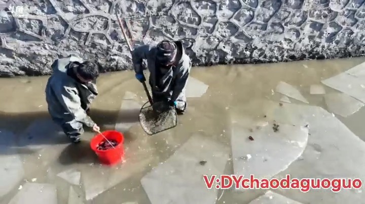 河沟里抓鱼，小鱼是真的多，几百斤卖多少钱啊