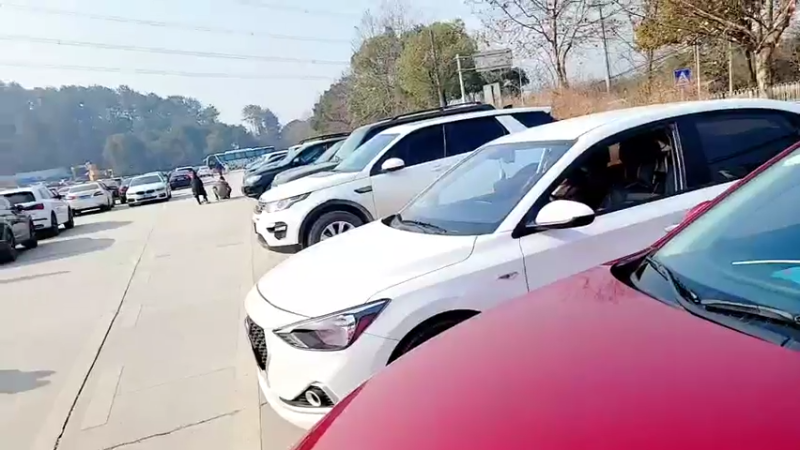 【2022-01-02 11点场】洪湖小肖：武汉动物园 447507