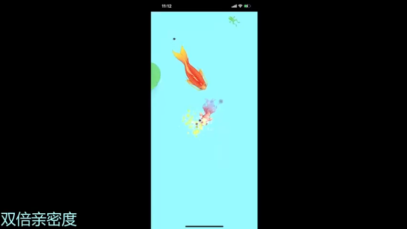 【2022-01-01 23点场】伽罗王丶：【钻粉狂欢卡】新年第二天