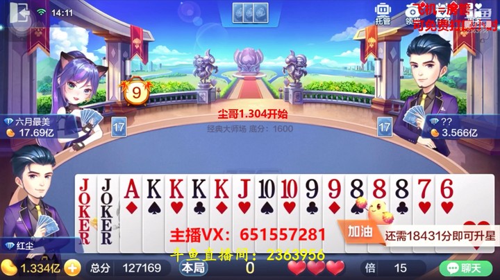 1501、大师场：这猫真是太烦人了！