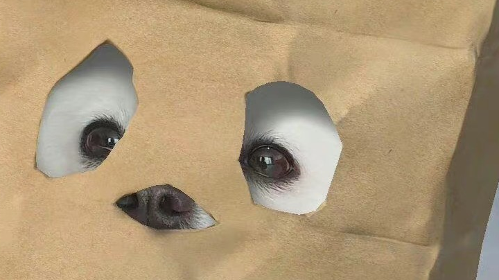 2022/1/2