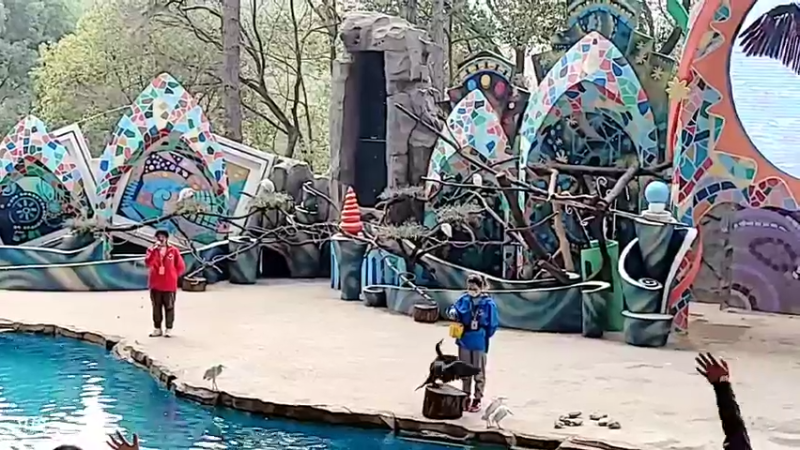 【2022-01-02 15点场】洪湖小肖：武汉动物园 447507