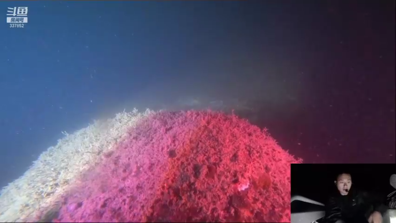 【2022-01-02 21点场】洪湖小肖：8点左右海底直播