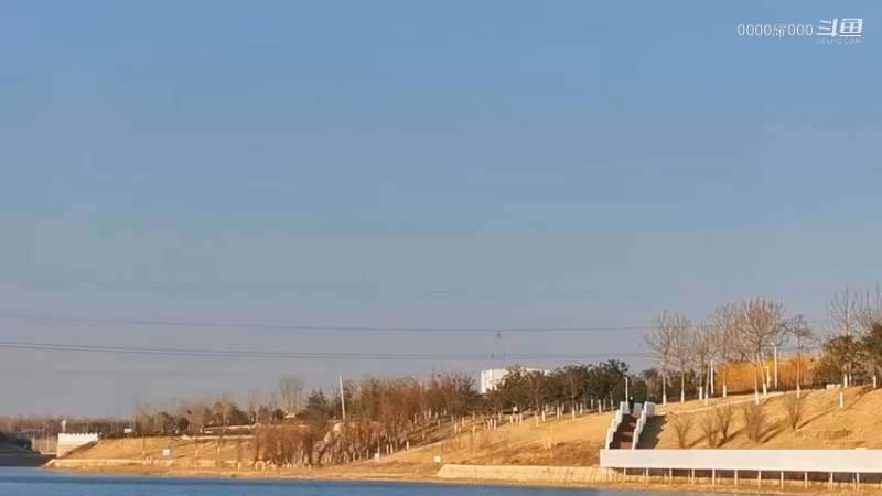 generated_video