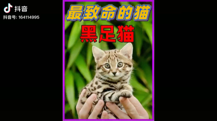 了解了解