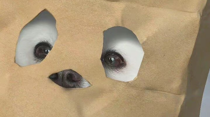 2021/12/31