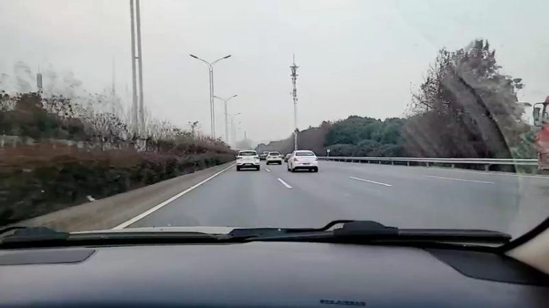 【2022-01-02 17点场】洪湖小肖：武汉动物园 447507