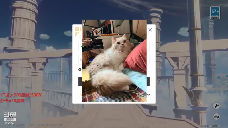 【2022-01-02 11点场】Corgi酱紫：小鬼代播 新年快乐