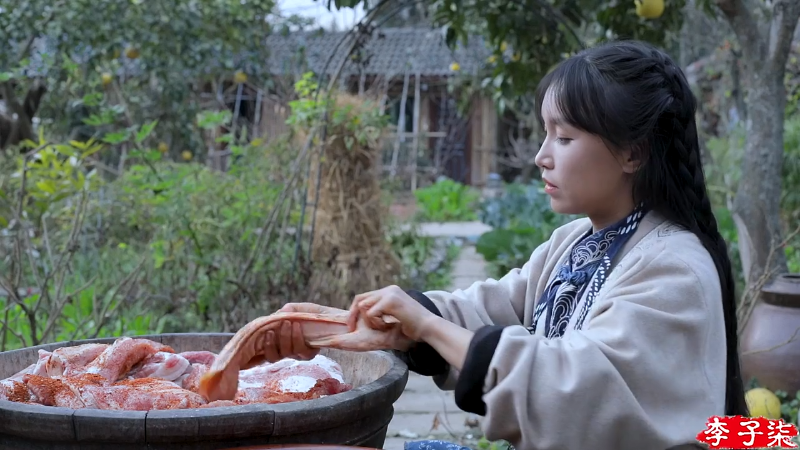 【美食】李子柒liziqi的精彩时刻 20220103 19点场