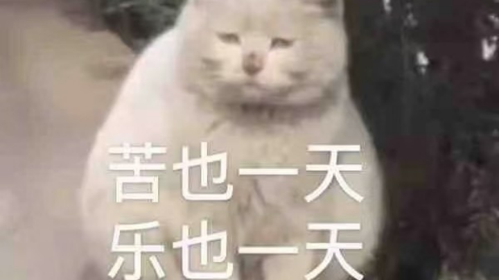 1.2游戏日常1