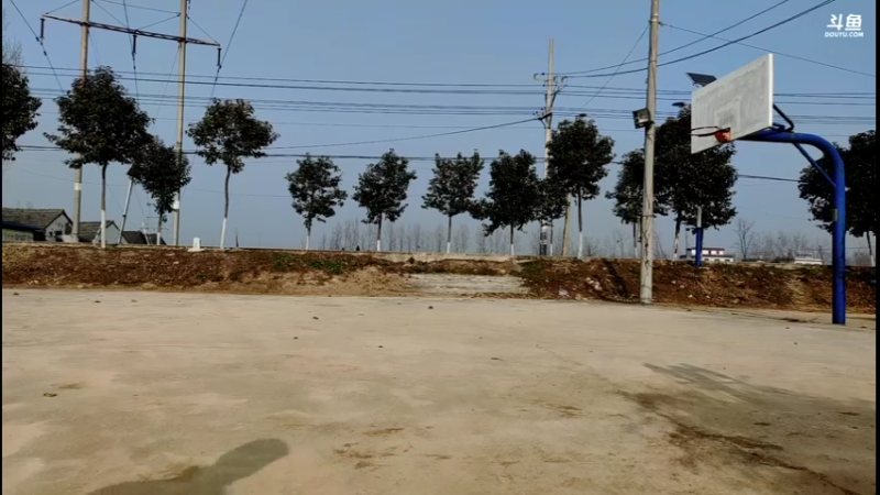 篮球