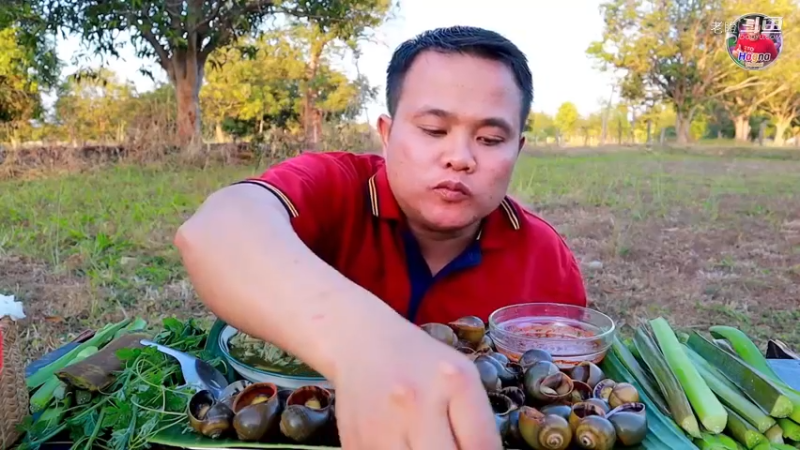 新鲜饱满鹰眼螺，竹笋沙拉，酸辣蘸酱