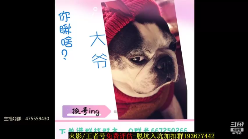 【2022-01-03 21点场】小马锅马杰：马锅：回来了，5号去年总。
