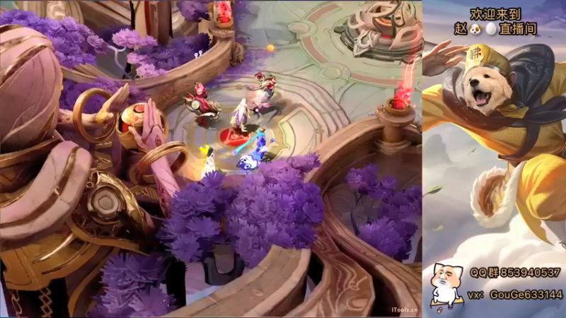 【2022-01-03 21点场】荣耀英雄宋人头：新主播 不求关注