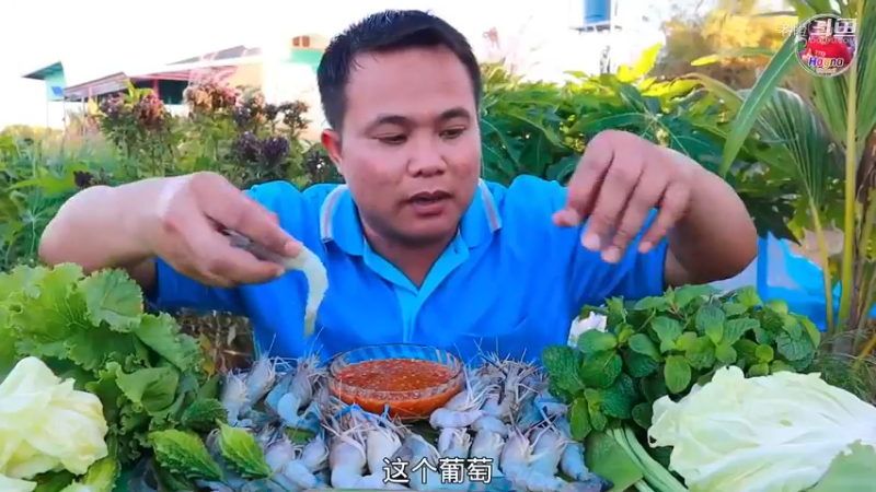 河虾刺身，新鲜软糯，可口的蘸酱，脆脆的蔬菜
