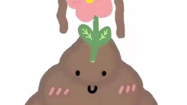 复盘