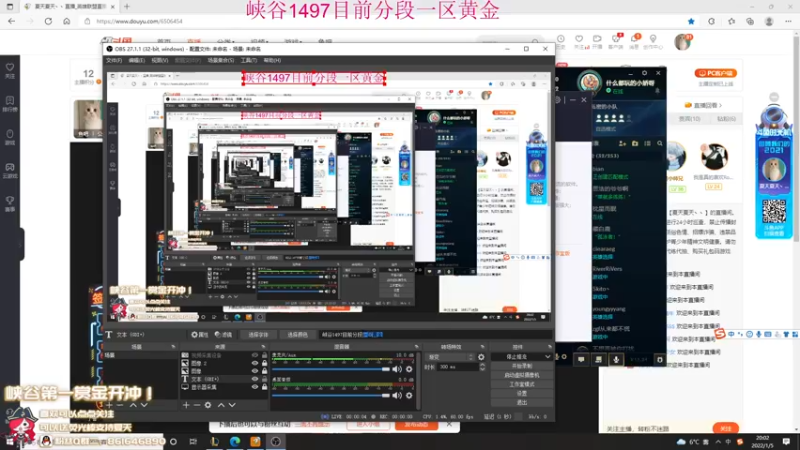 【2022-01-05 20点场】夏天夏天丶丶：峡谷1500分AD 一区白金局