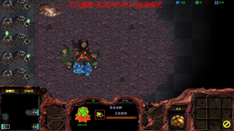 【2022-01-04 21点场】Leo爱看星际：实况-星际-直播间