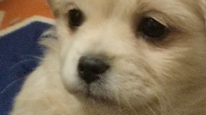 。