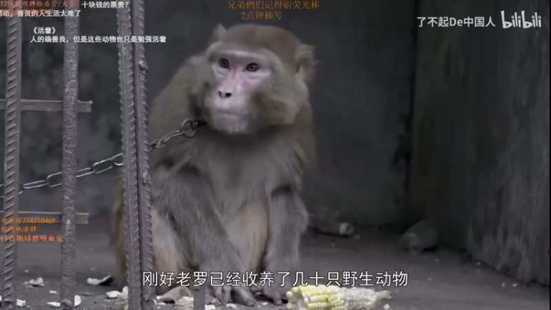 【2022-01-04 16点场】地球胖丶驴酱：元旦快乐兄弟们 峡谷之巅冲一下